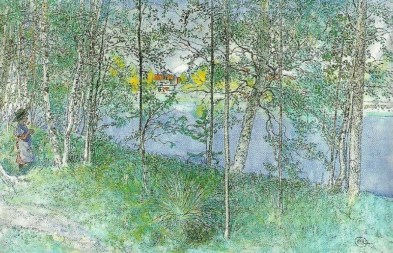 Carl Larsson esbjorn pa bullerholmen